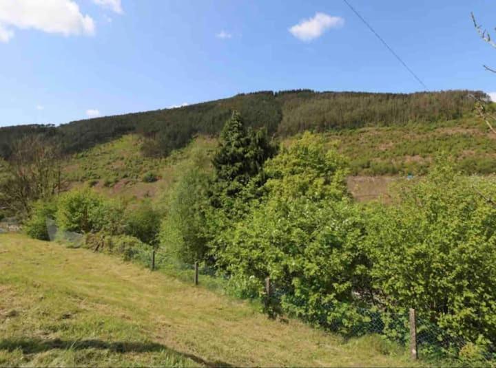 Afan House Villa Pontrhydyfen Exteriör bild